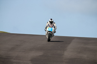 PJ-Motorsport-2019;anglesey-no-limits-trackday;anglesey-photographs;anglesey-trackday-photographs;enduro-digital-images;event-digital-images;eventdigitalimages;no-limits-trackdays;peter-wileman-photography;racing-digital-images;trac-mon;trackday-digital-images;trackday-photos;ty-croes